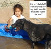 **DAISY  *Please read bio below - Photo 3