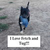 **DAISY  *Please read bio below - Photo 4