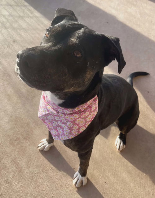 **DAISY  *Please read bio below