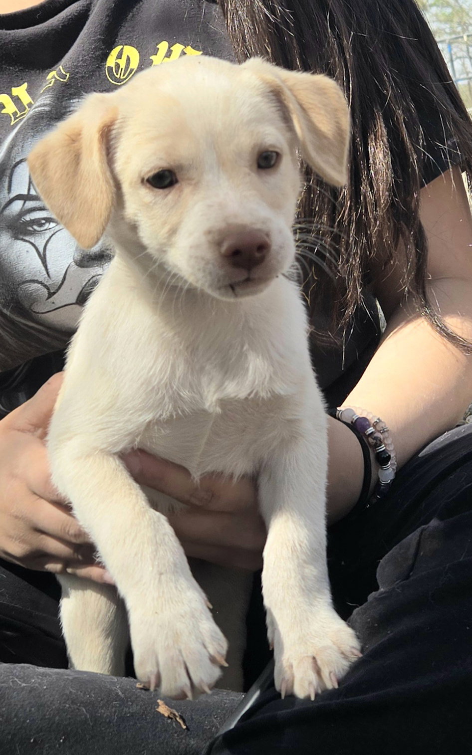 **RIVER - PLEASE Click More to read Bio