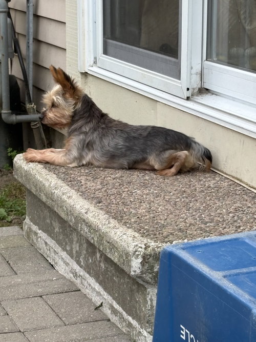 Theo 4441, photo 2
