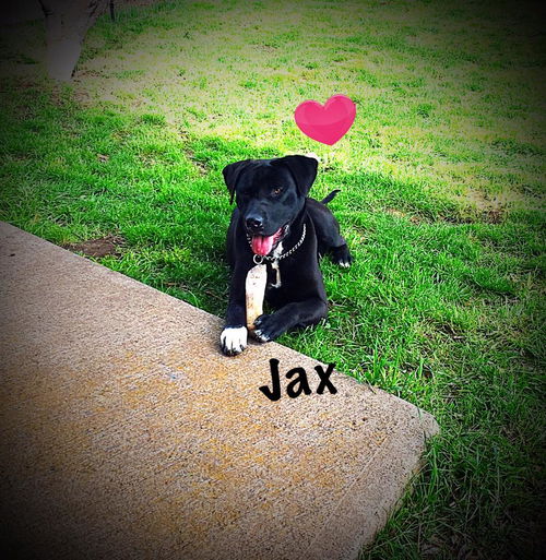 Jax