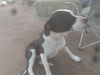 WONA