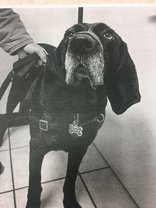 Bo