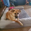 Betty