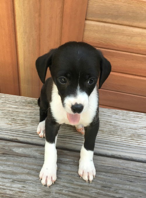 Itsy