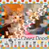 Cheez Doodle