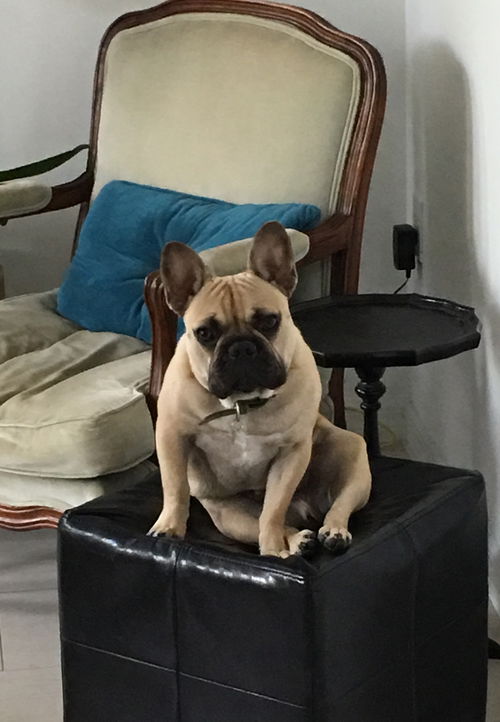 Winston