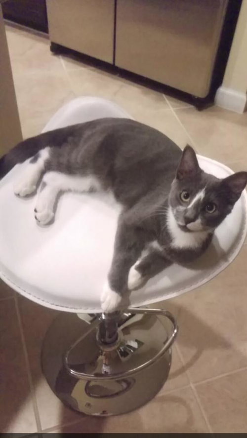 Greyson