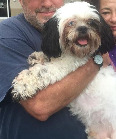 Chewy