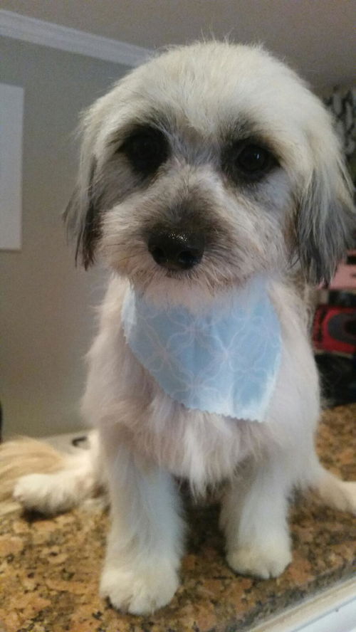 Romeo