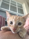 Axel