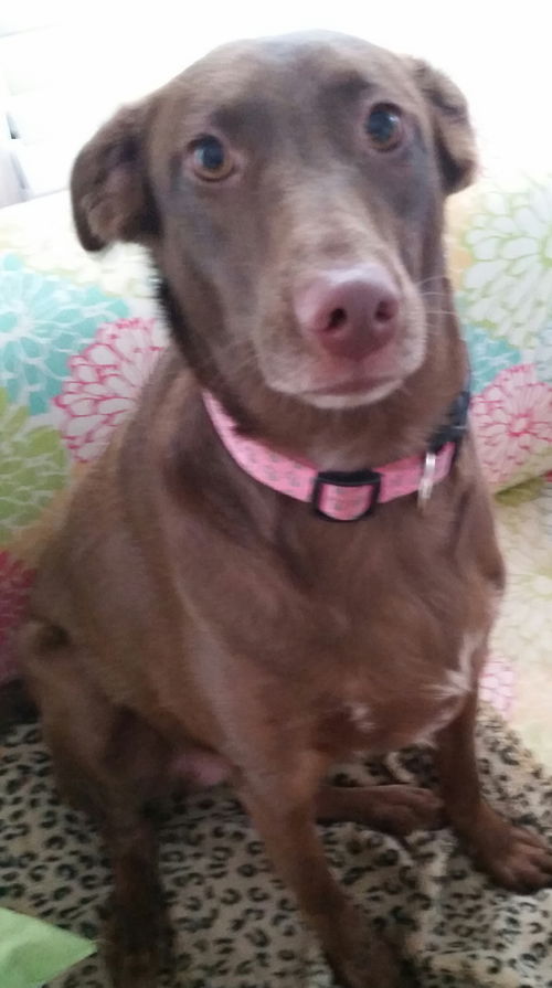 Rosie
