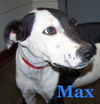 Max