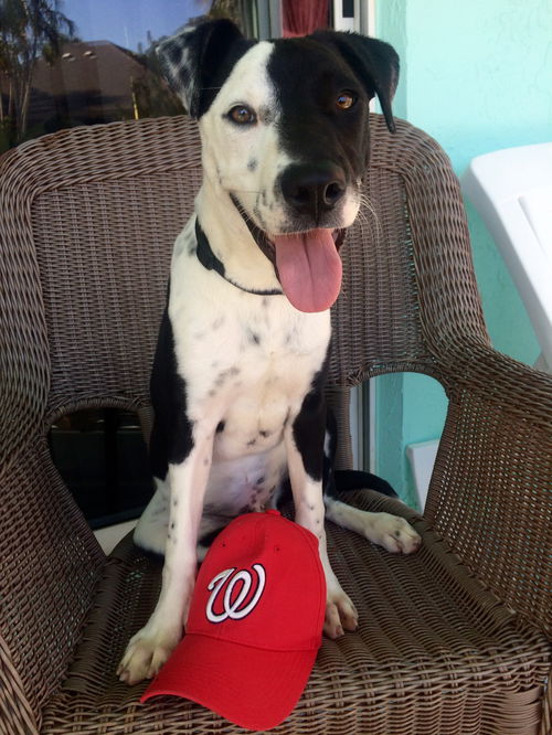 Max