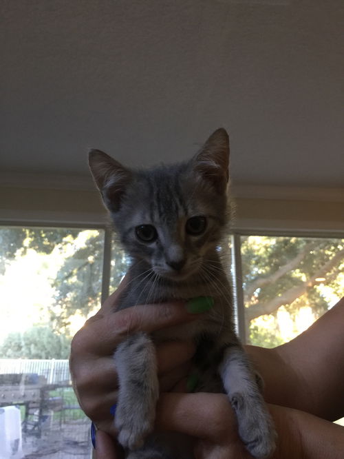 Quinn