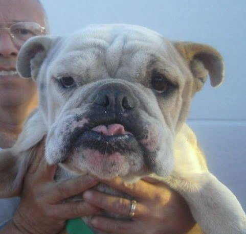 Molly