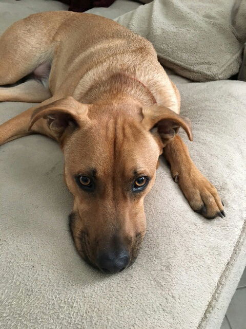Max