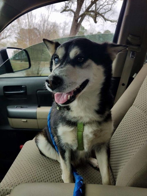 Sitka
