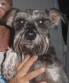 Cooper