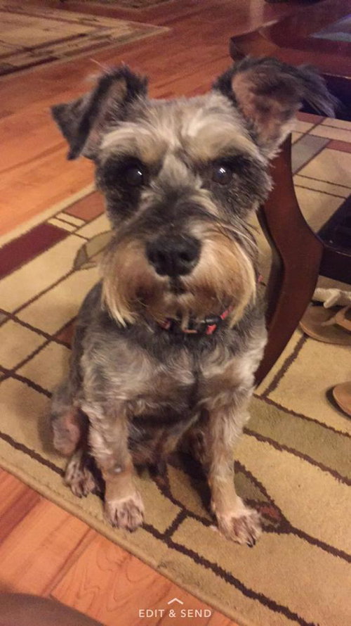 Cooper