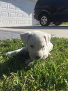 Hurley