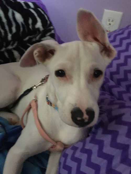 Amy