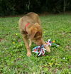 Wilbur