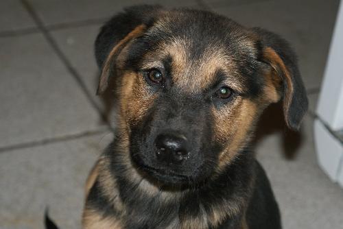 Buster 