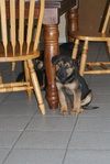 Buster 