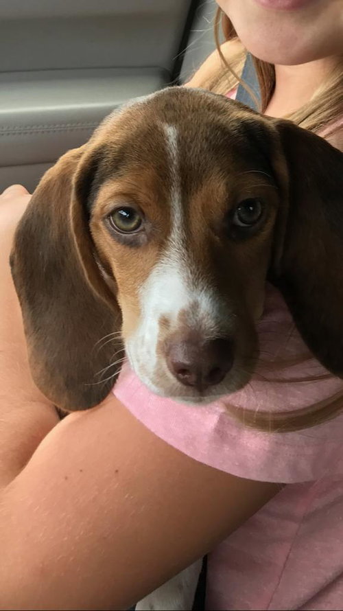 Sophie
