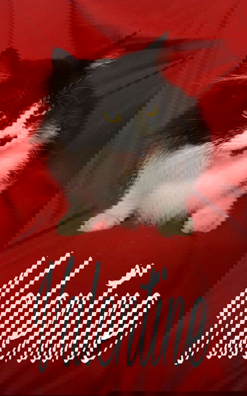 Valentine