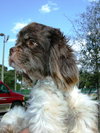 Swiffer