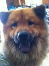 Buki