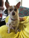 Mr. Peabody