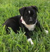 Charlie