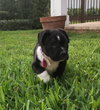 Charlie