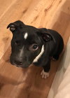 Charlie
