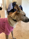 Simone