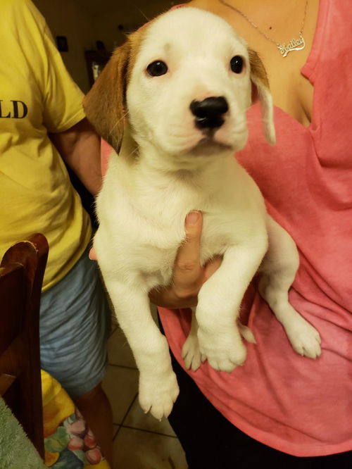 Elsa