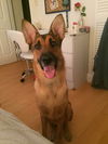 Mason