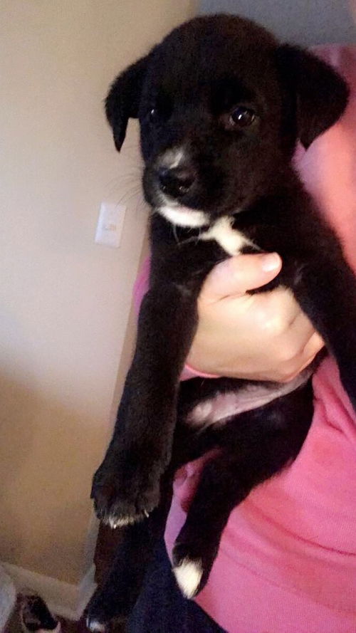 Marla