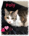Poly (Dumplin)