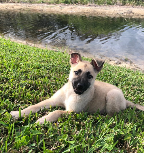 Luna