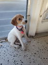 Minnie