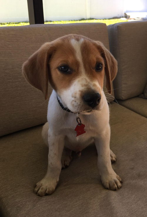 Marley