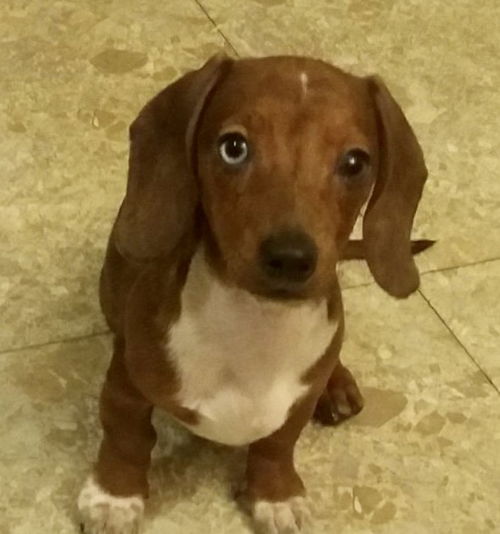 Spud