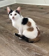 Stormie