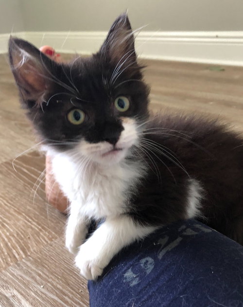 Sophie