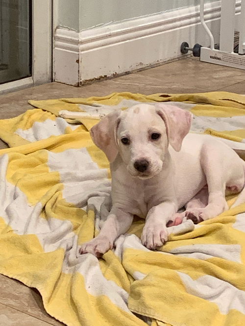 Ellie